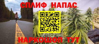 spice Кинель