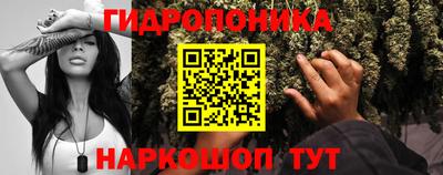 индика Коммунар