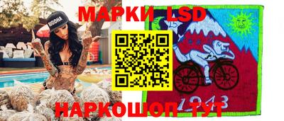 спиды Кингисепп