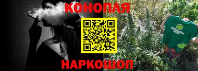 спиды Кингисепп