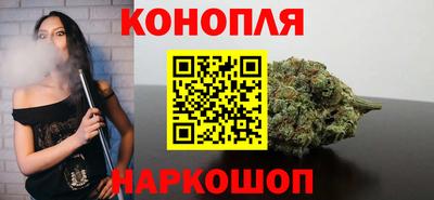 спиды Кингисепп
