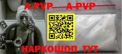 спиды Кингисепп