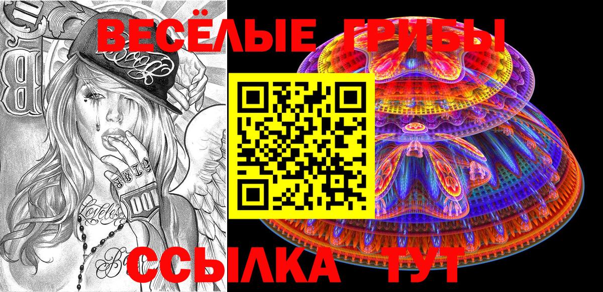 Галлюциногенные грибы MAGIC MUSHROOMS Кимовск