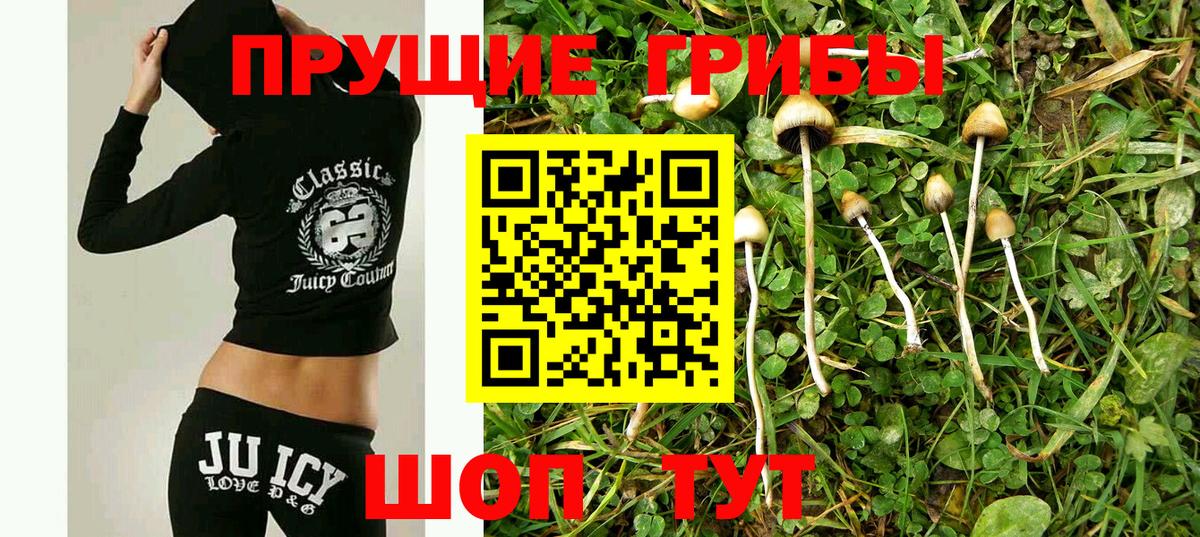 Кимовск  Галлюциногенные грибы GOLDEN TEACHER  Вход с VPN  Псилоцибиновые грибы мицелий 